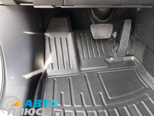 3D Коврики в салон автомобиля Lexus RX 2022- (Stingray)