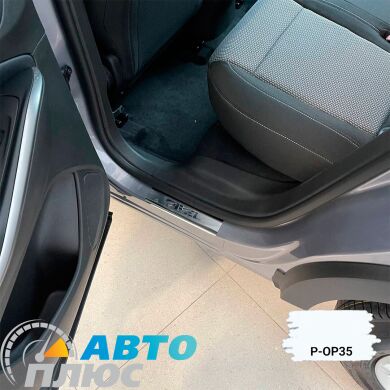 Накладки на пороги Opel Grandland X 2019- (Premium)