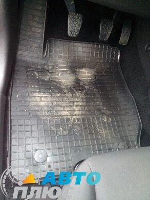 Резиновые коврики в салон Ford Fiesta 09-/13- (Stingray)