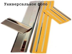 Накладки на пороги Hyundai Accent 2017- (Premium)