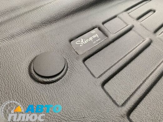 3D Коврики в салон автомобиля BMW X5 (E70) 07-/X6 (E71) 08- (Stingray)