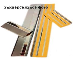 Накладки на пороги Citroen C4 2004-2010 (3 двери) (Premium)