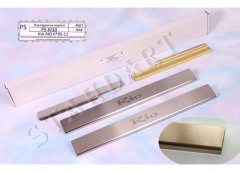 Накладки на пороги автомобиля Kia Rio 2005-2011 (Standart)